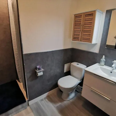 Appartement Studio Tout équipé Proche Geneve Saint-Genis-Pouilly
